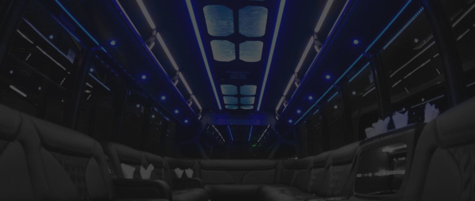 Limo & Party Bus Rental Fleet Banner Bg